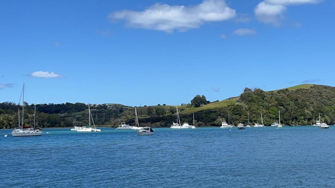 Photo of Others in Stanmore Bay