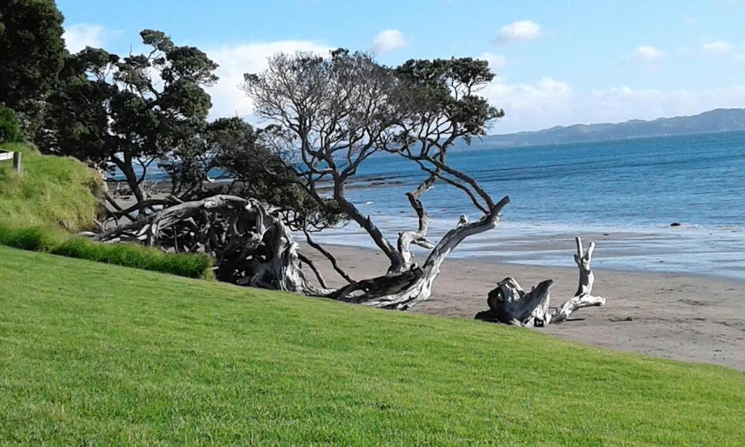 Photo of Others in Stanmore Bay