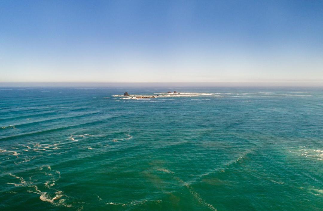 Photo of Others in Cape Foulwind