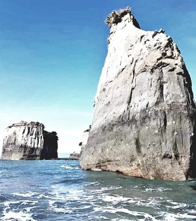 Photo of Others in Cape Foulwind