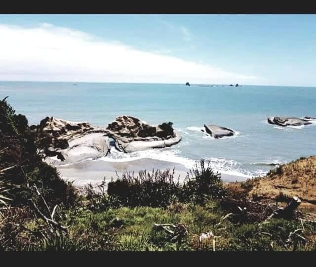 Photo of Others in Cape Foulwind