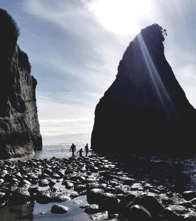 Photo of Others in Cape Foulwind