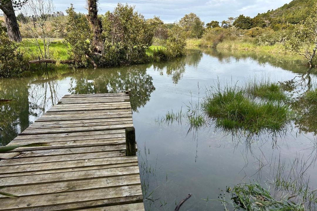 Photo of Others in Whangarei
