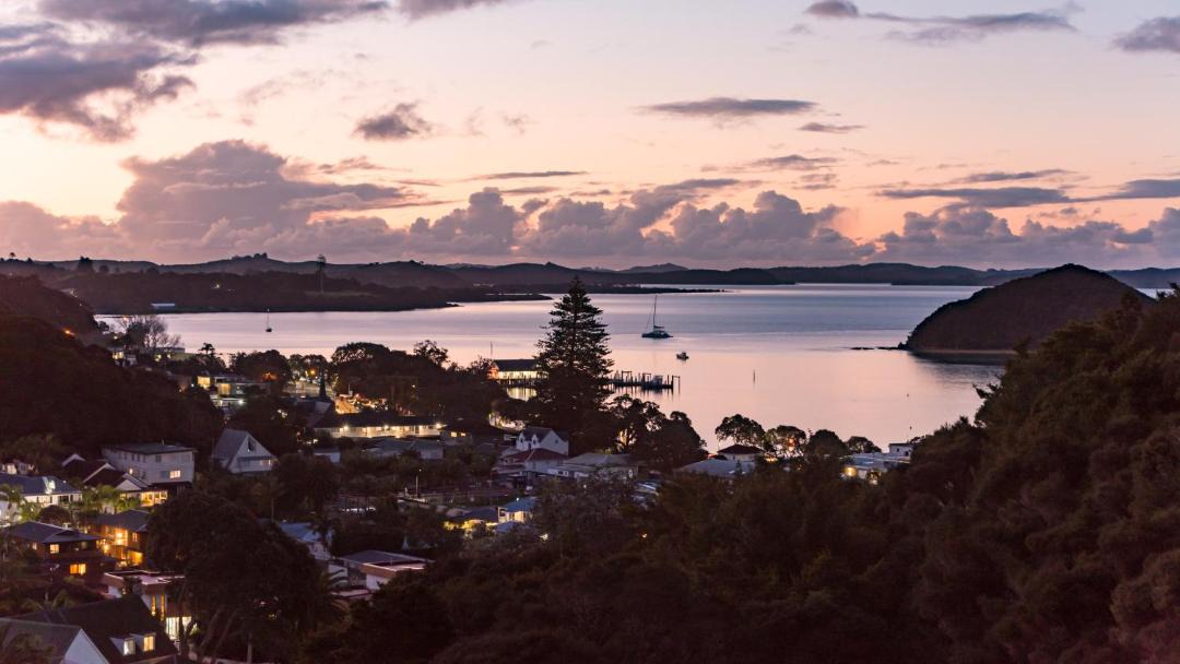 Photo of Others in Paihia
