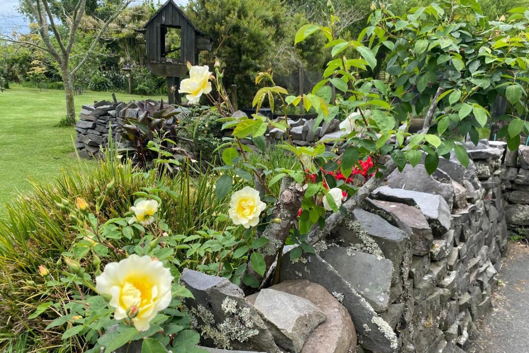 Photo of Others in Kumeu