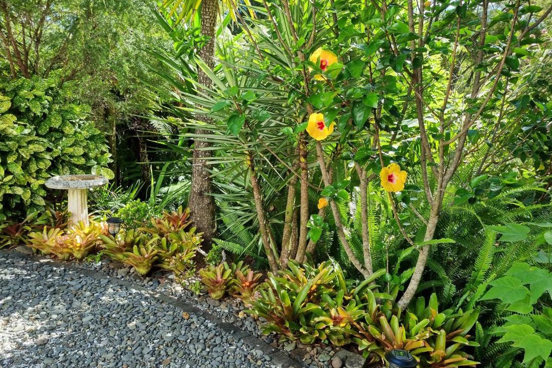 Photo of Others in Coromandel
