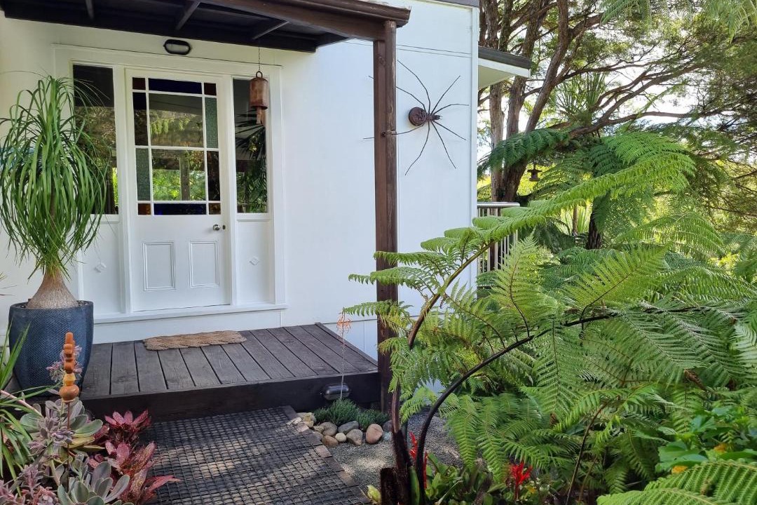 Photo of Others in Coromandel