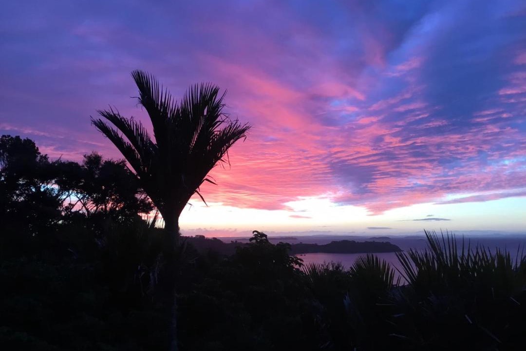 Photo of Others in Waiheke Island