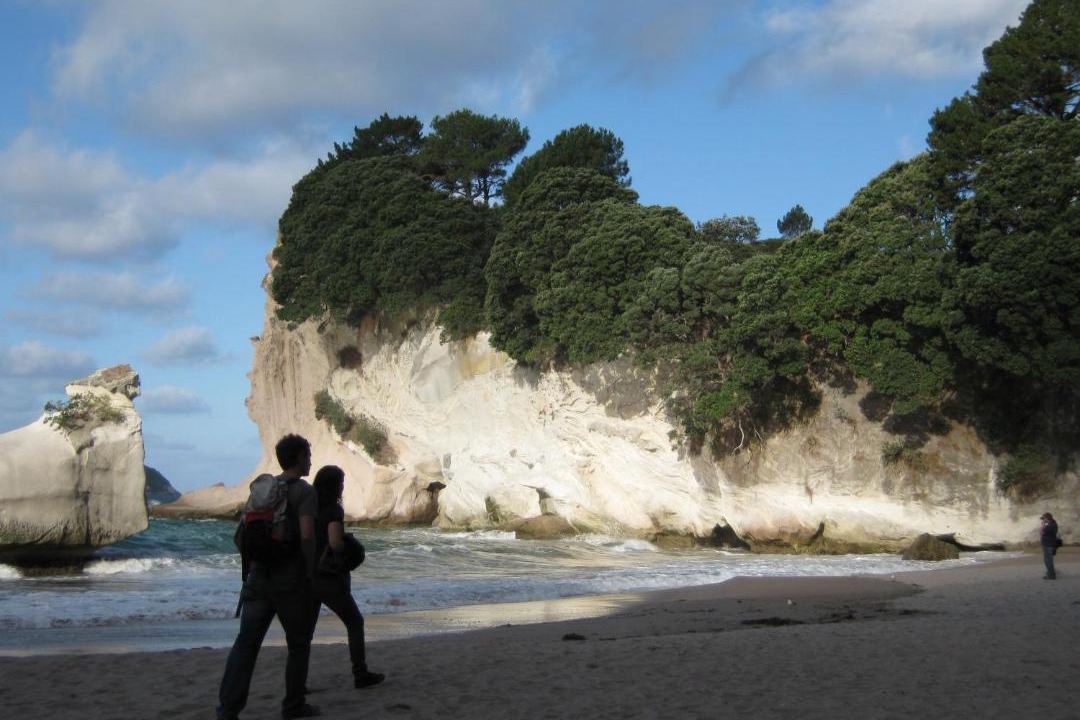 Photo of Others in Hahei