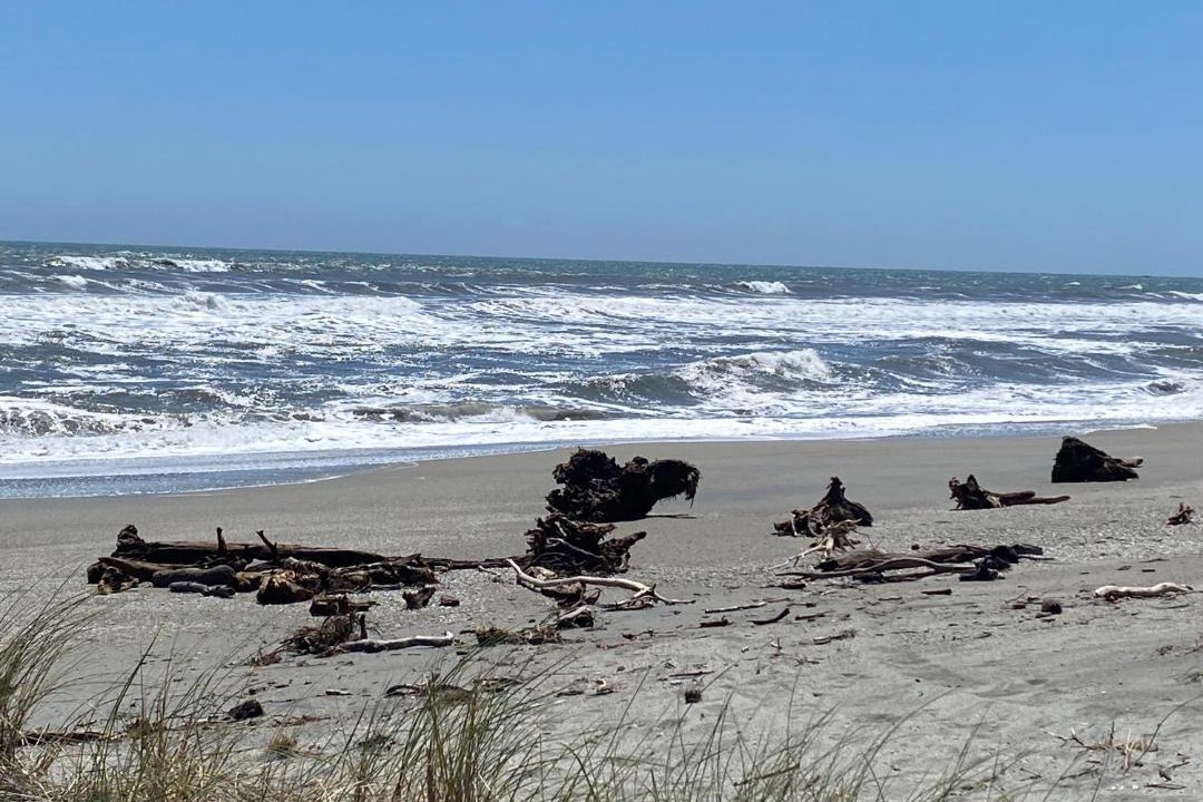 Photo of Others in Haast