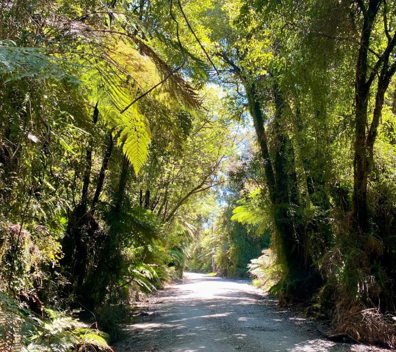 Photo of Others in Haast