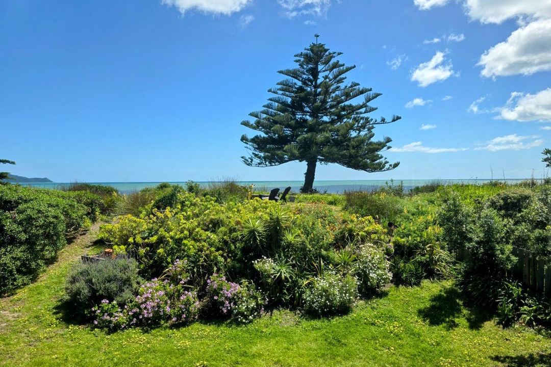 Photo of Others in Waikanae
