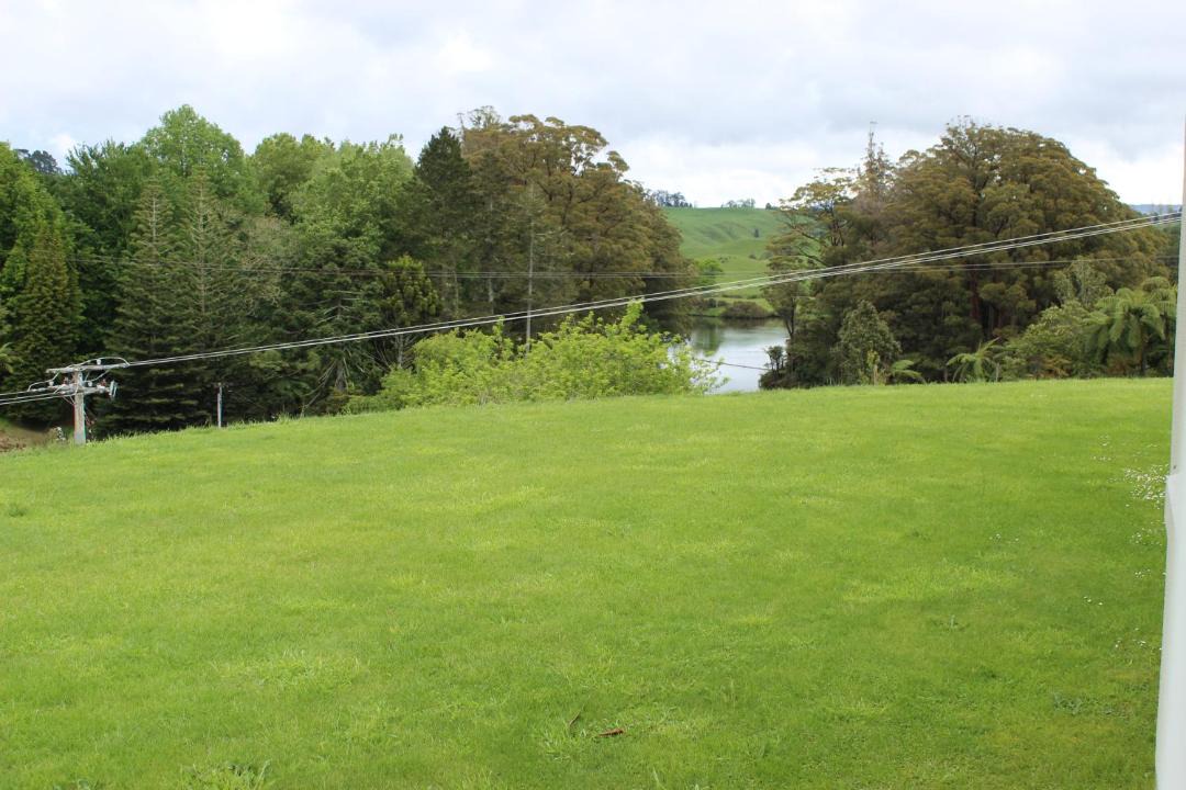 Photo of Others in Lower Kaimai
