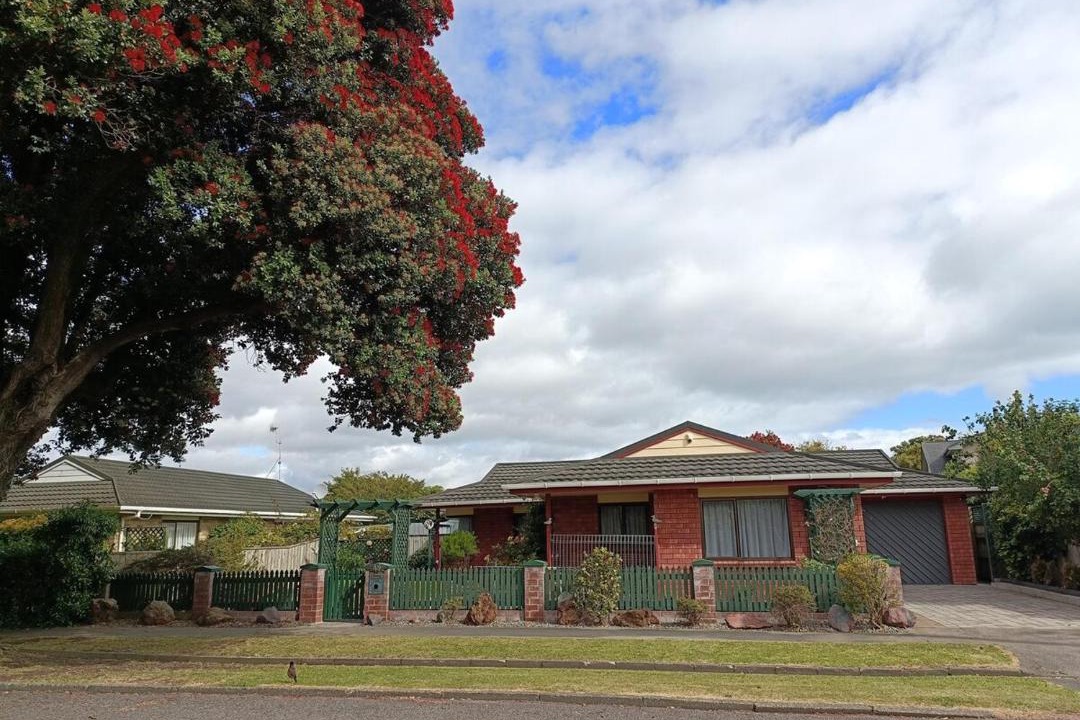 Photo of Others in Whanganui