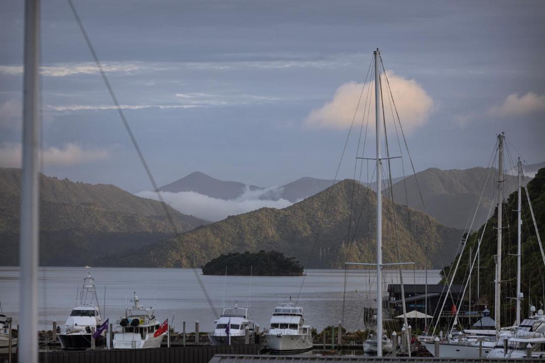 Photo of Others in Picton
