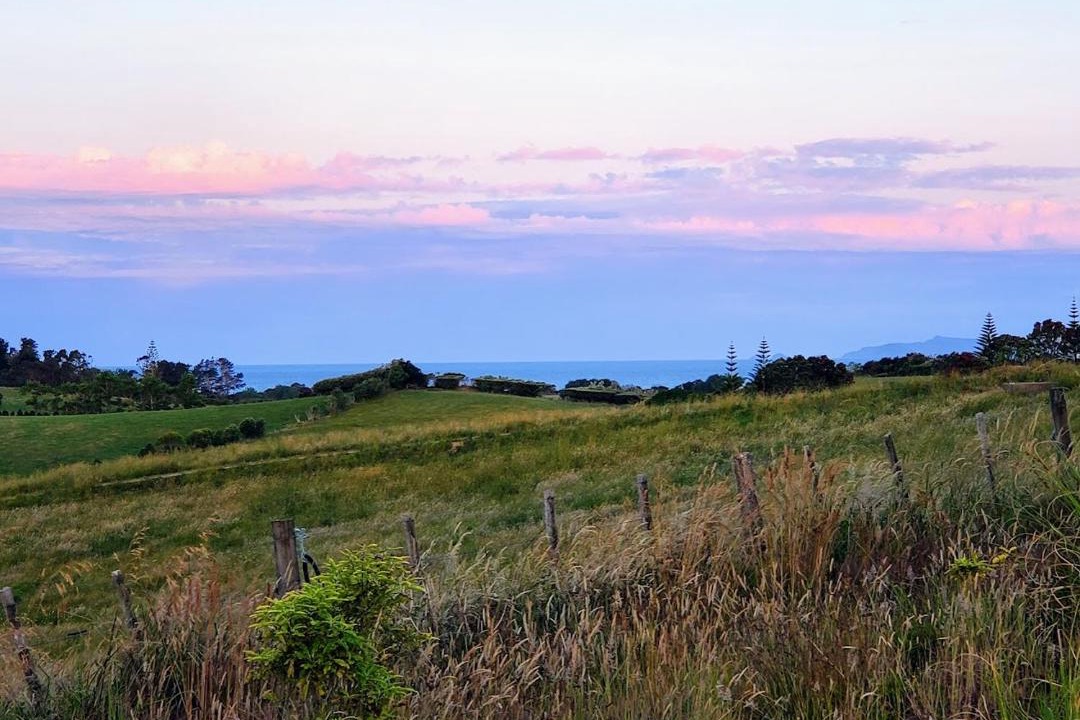 Photo of Others in Ruakaka