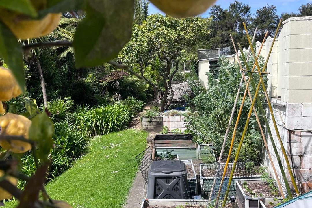 Photo of Others in Titirangi