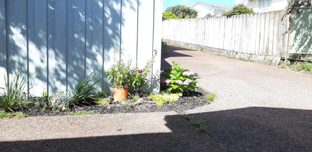 Photo of Others in Wairau Valley