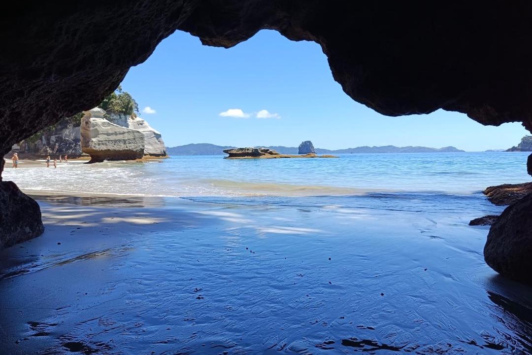 Photo of Others in Whitianga