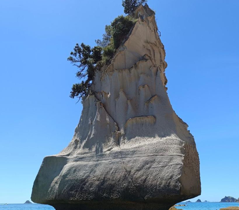 Photo of Others in Whitianga