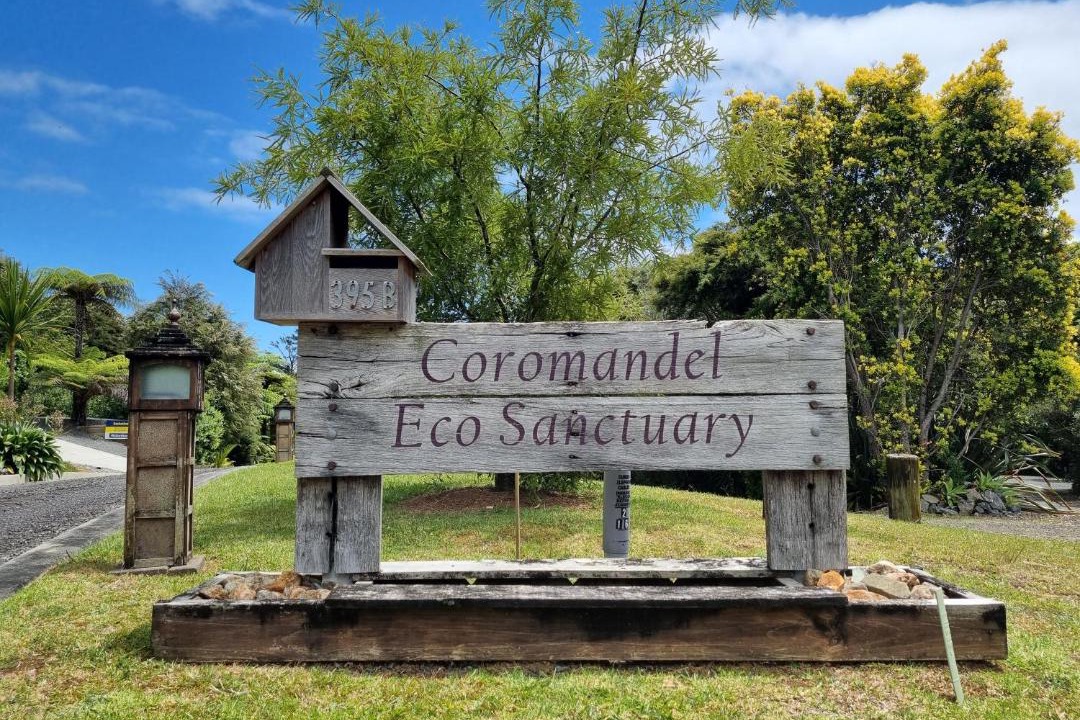 Photo of Others in Coromandel