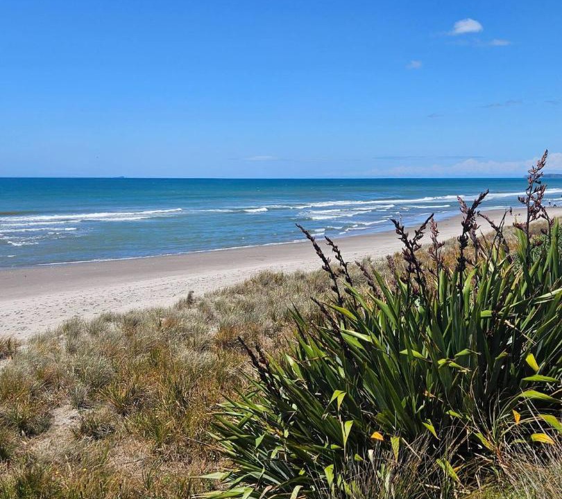 Photo of Others in Papamoa Beach