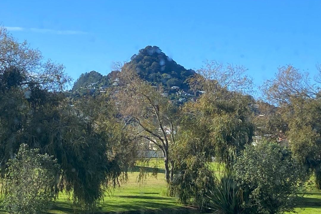 Photo of Others in Tairua