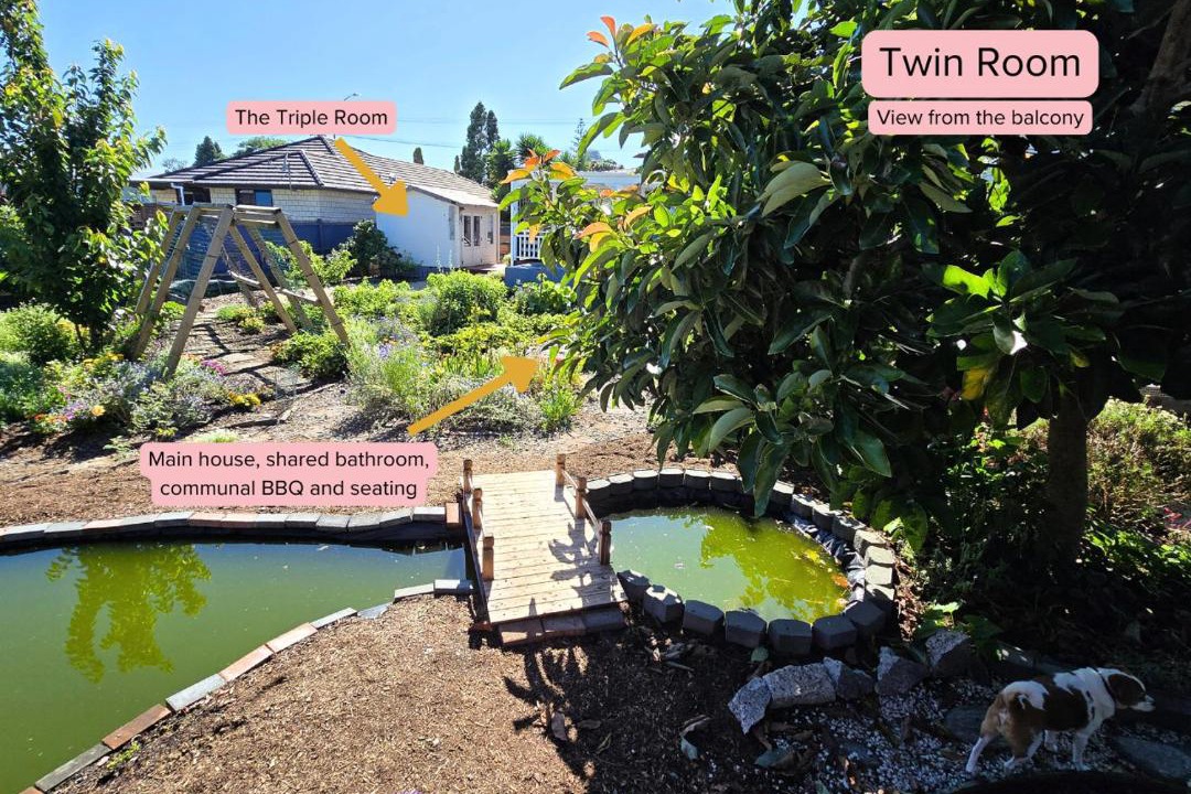 Photo of Others in Tairua