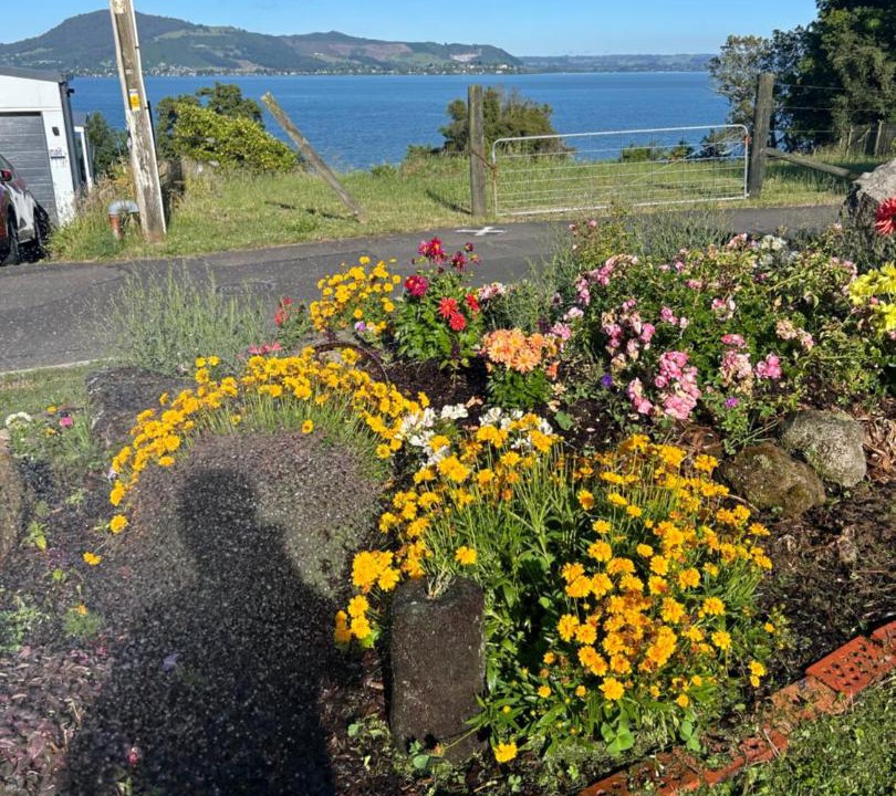 Photo of Others in Owhata