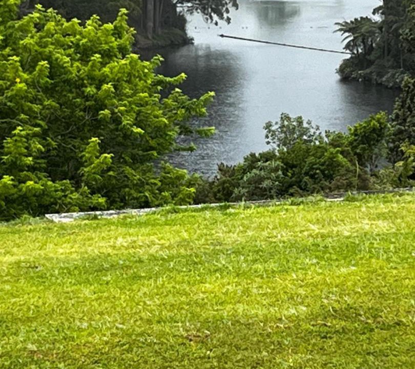 Photo of Others in Lower Kaimai