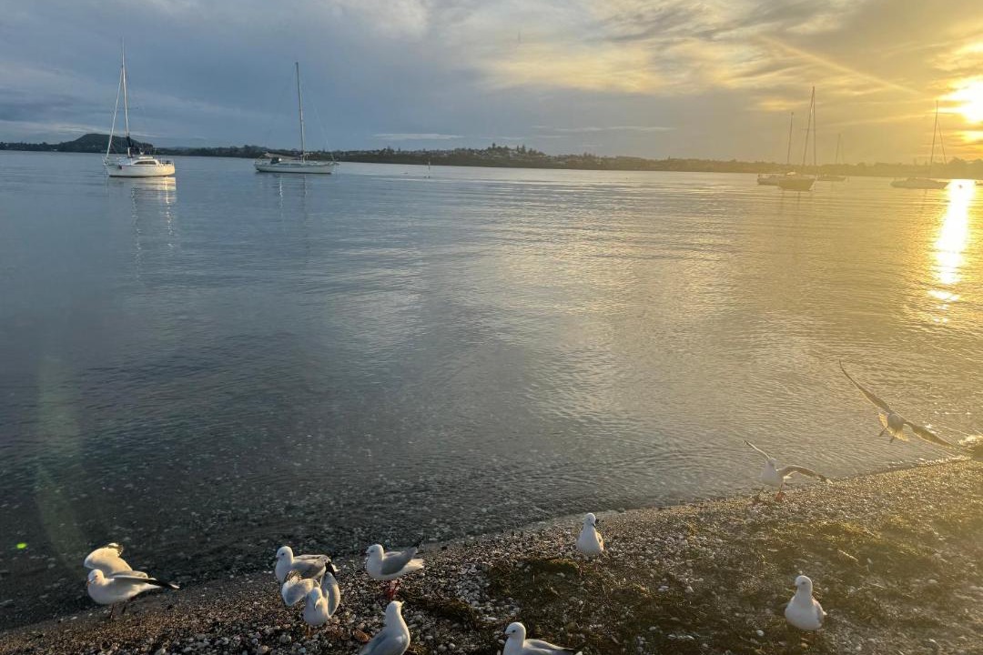 Photo of Others in Eastern Beach