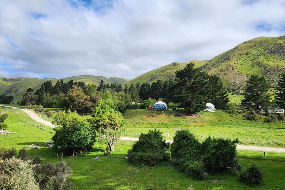 Photo of Others in Danseys Pass