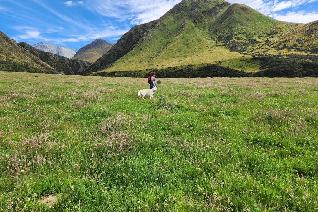 Photo of Others in Danseys Pass