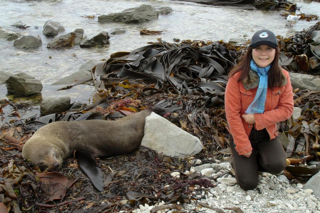 Photo of Others in Kaikoura