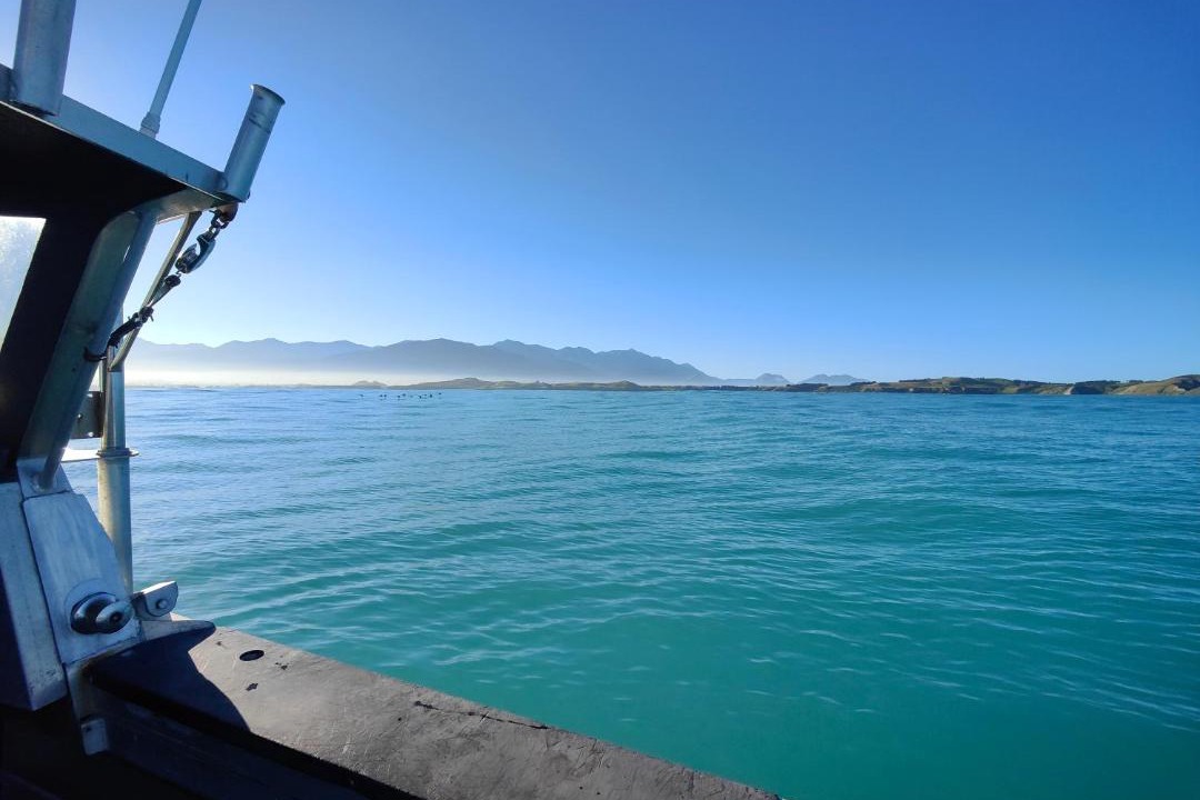 Photo of Others in Kaikoura