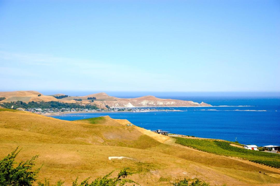 Photo of Others in Kaikoura