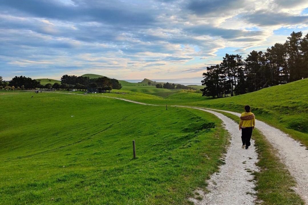 Photo of Others in Kaikoura