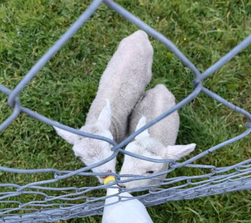 Photo of Others in Christchurch