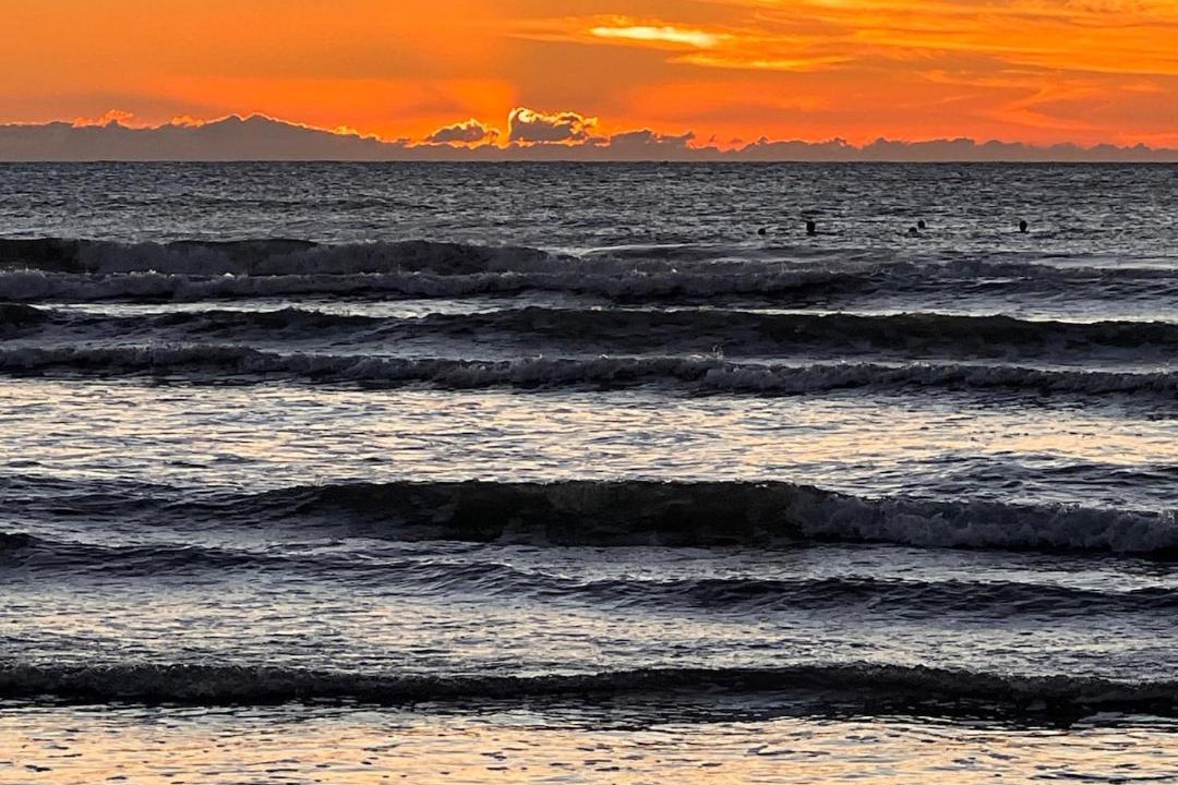 Photo of Others in Waitarere Beach