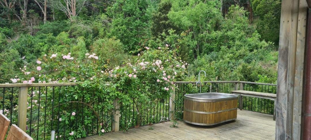 Photo of Others in Akaroa