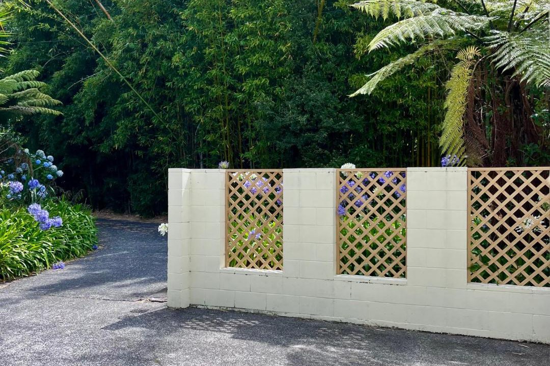 Photo of Others in Titirangi