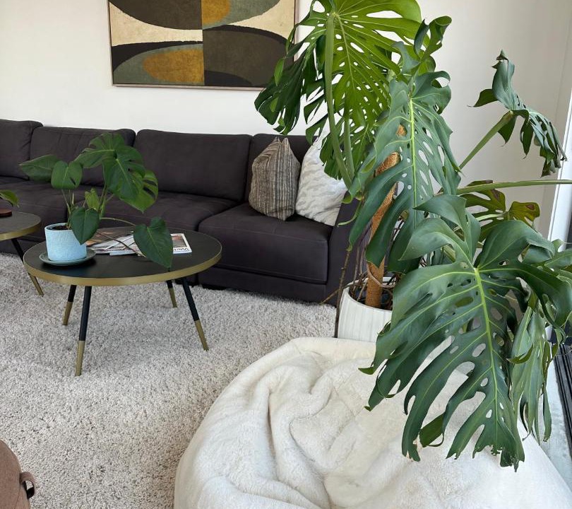 Photo of Livingroom in Jacks Point