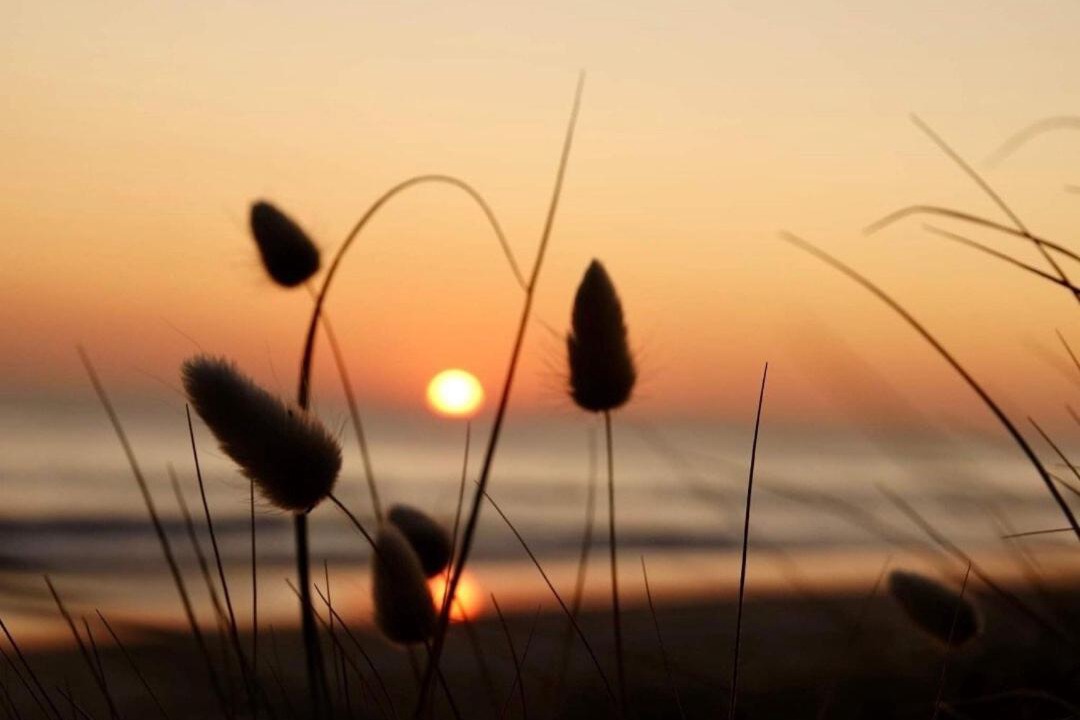 Photo of Others in Waihi Beach