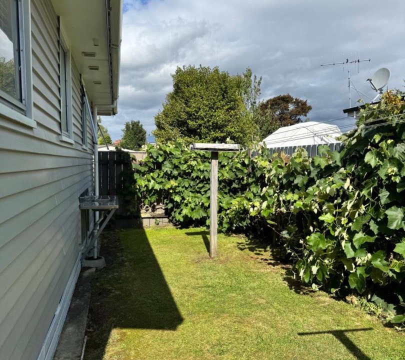 Photo of Others in Turangi