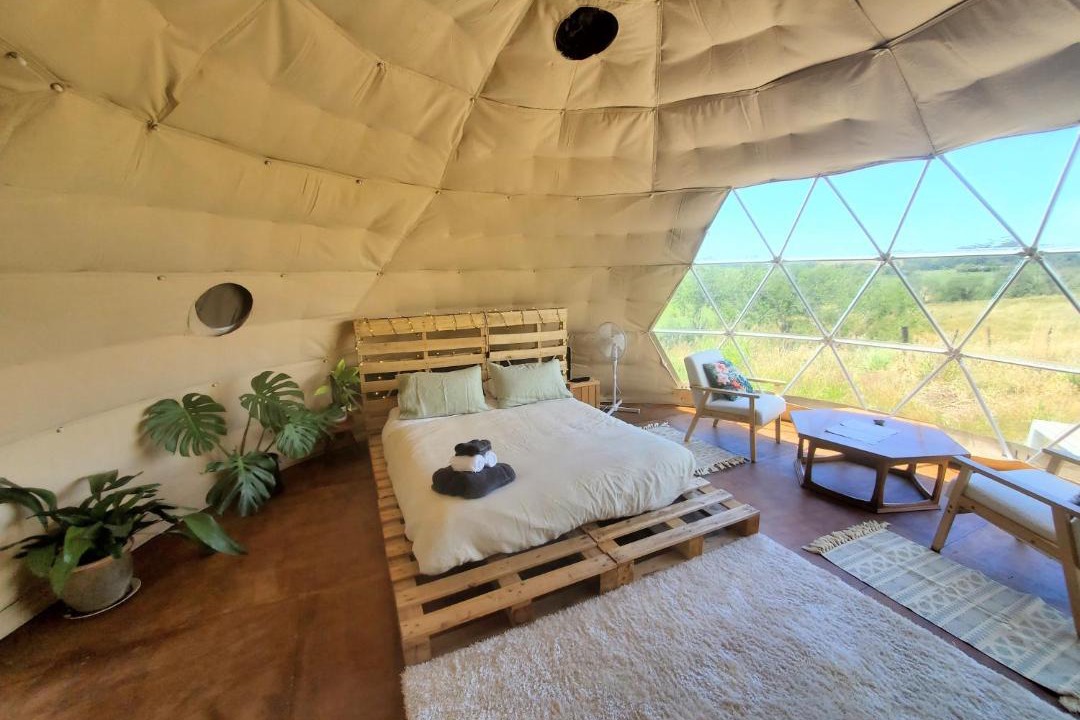 Photo of Others in Ruakaka