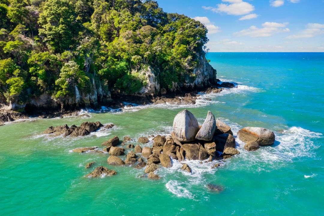 Photo of Others in Ngaio Bay