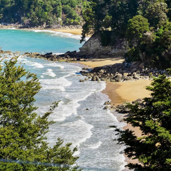 Photo of Others in Ngaio Bay