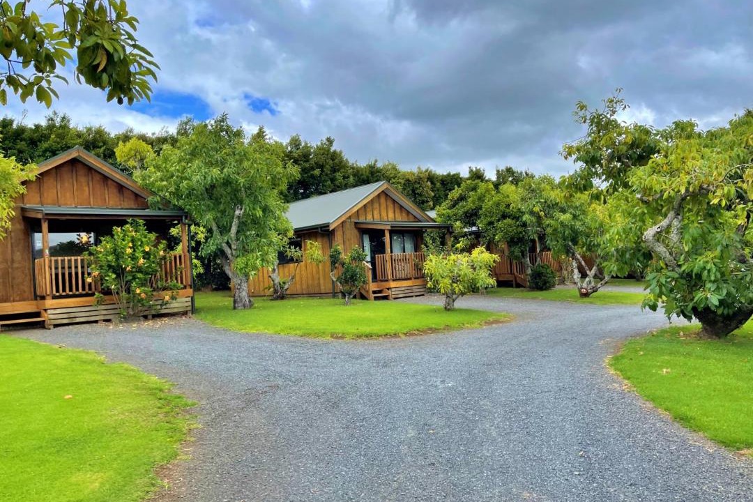Photo of Others in Kerikeri