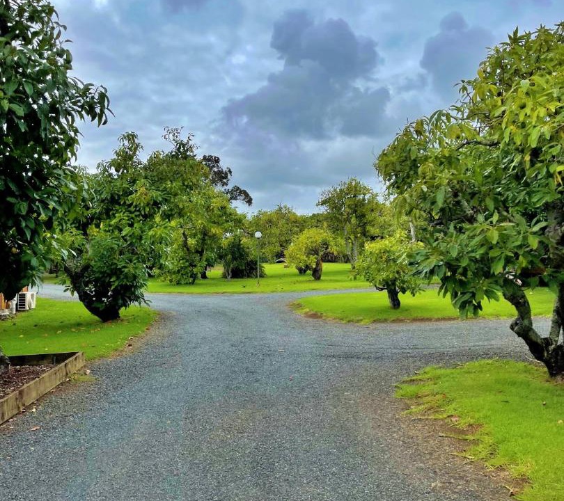 Photo of Others in Kerikeri