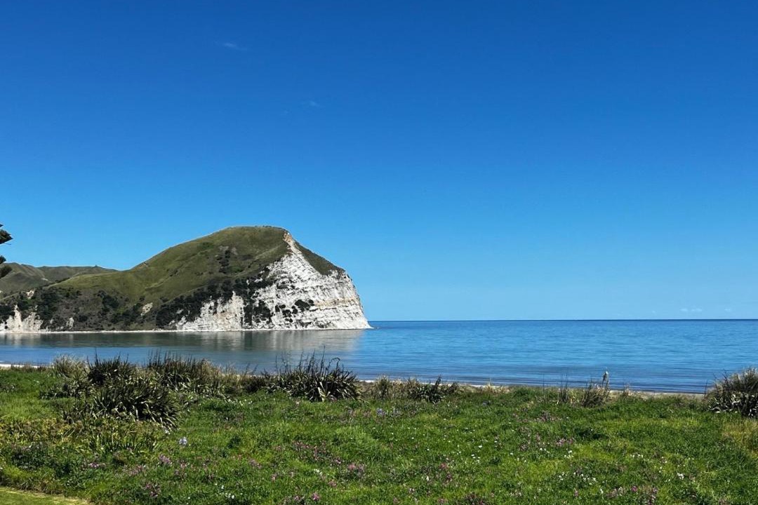 Photo of Others in Mahia